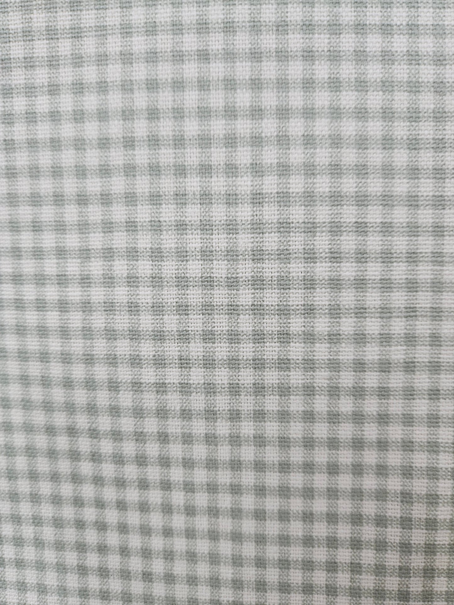 16225 Small Check