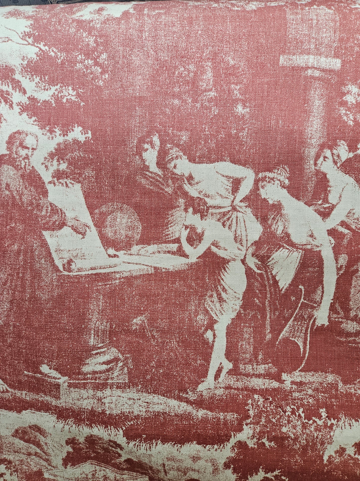 11686 Pompeii Berry