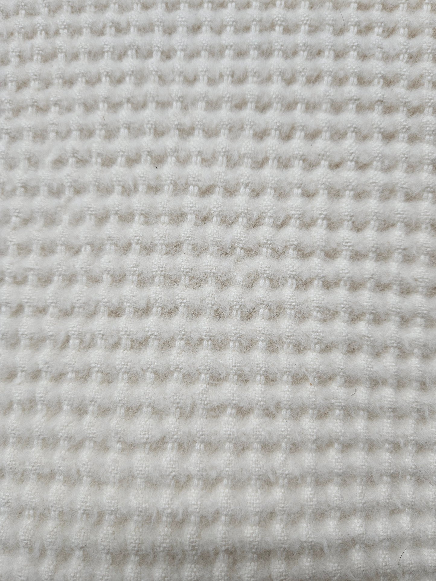 10517 Asvodelo Boutis Ivory