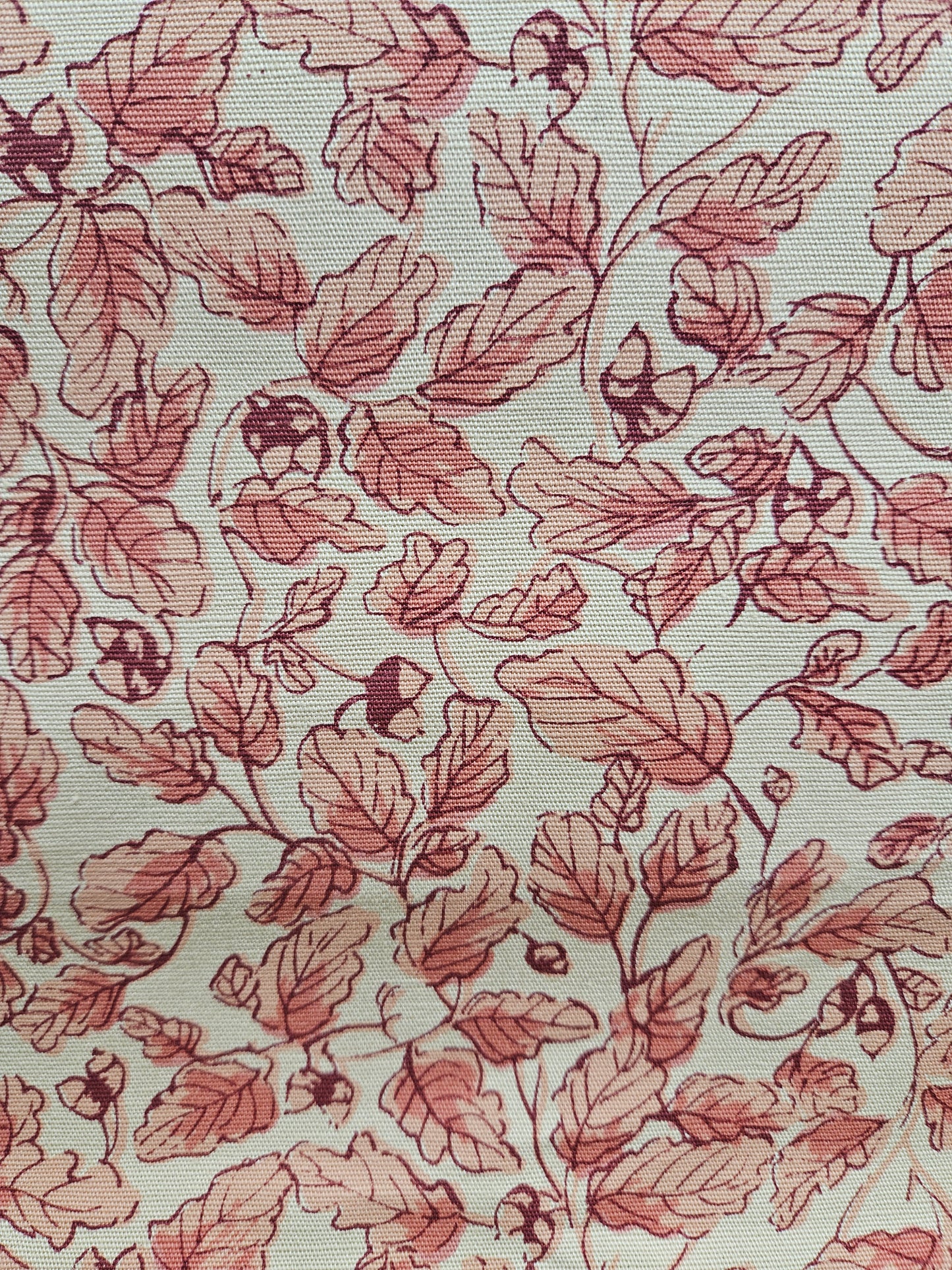 10838 Stellenbosch Oak Red