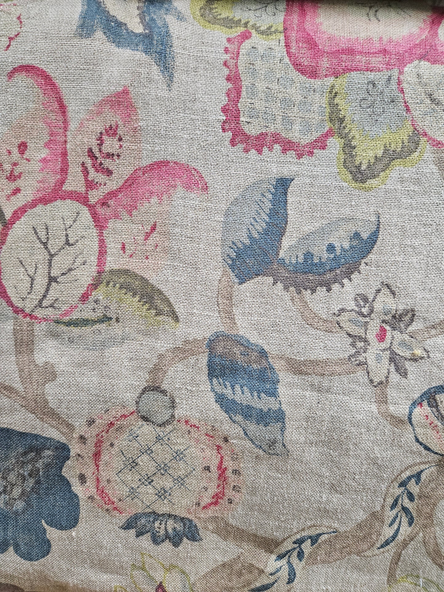 16076 Taquba Oatmeal-L'Acquitaine : 54"