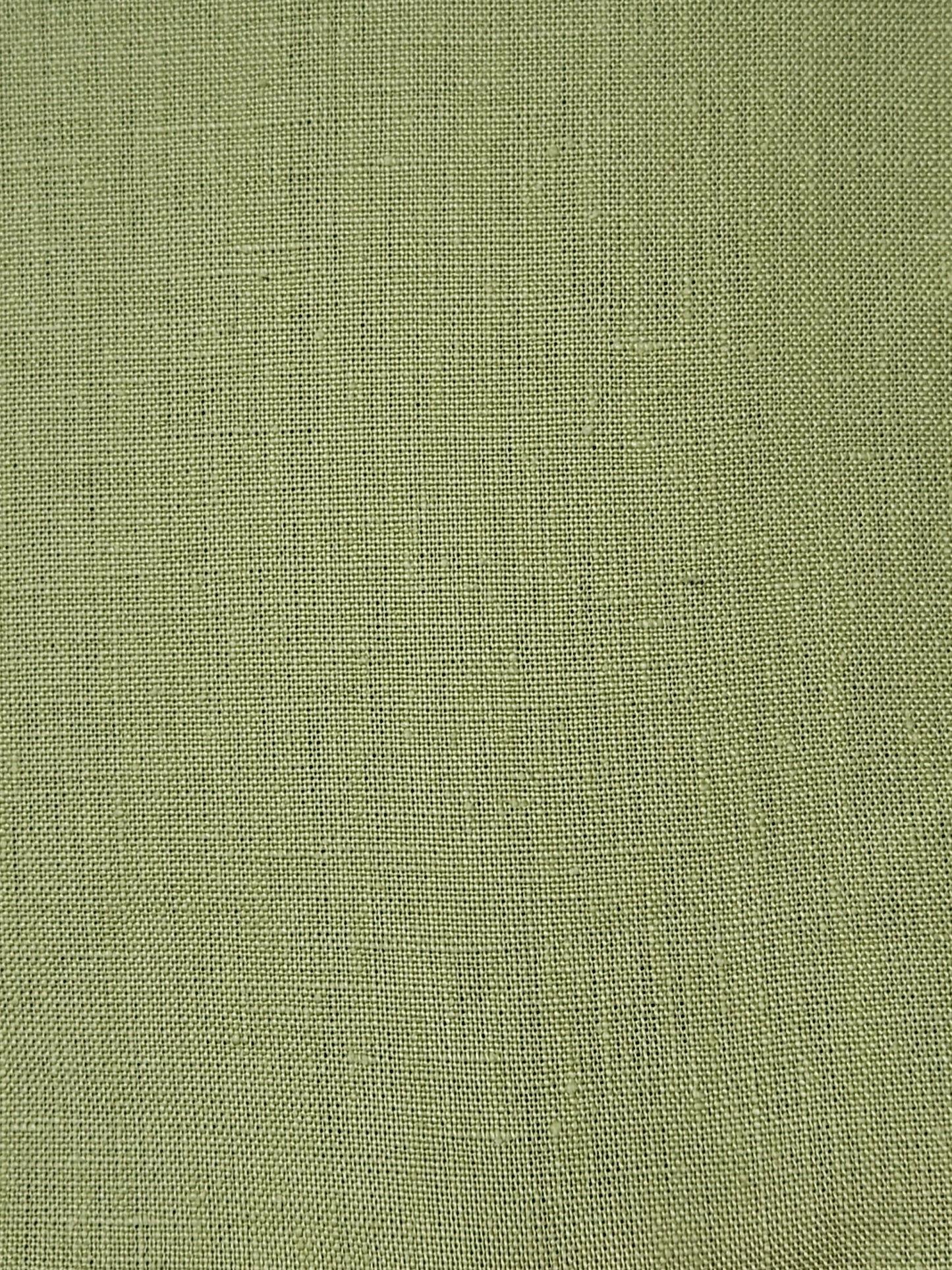 18358 Brussels Verbena 281-54