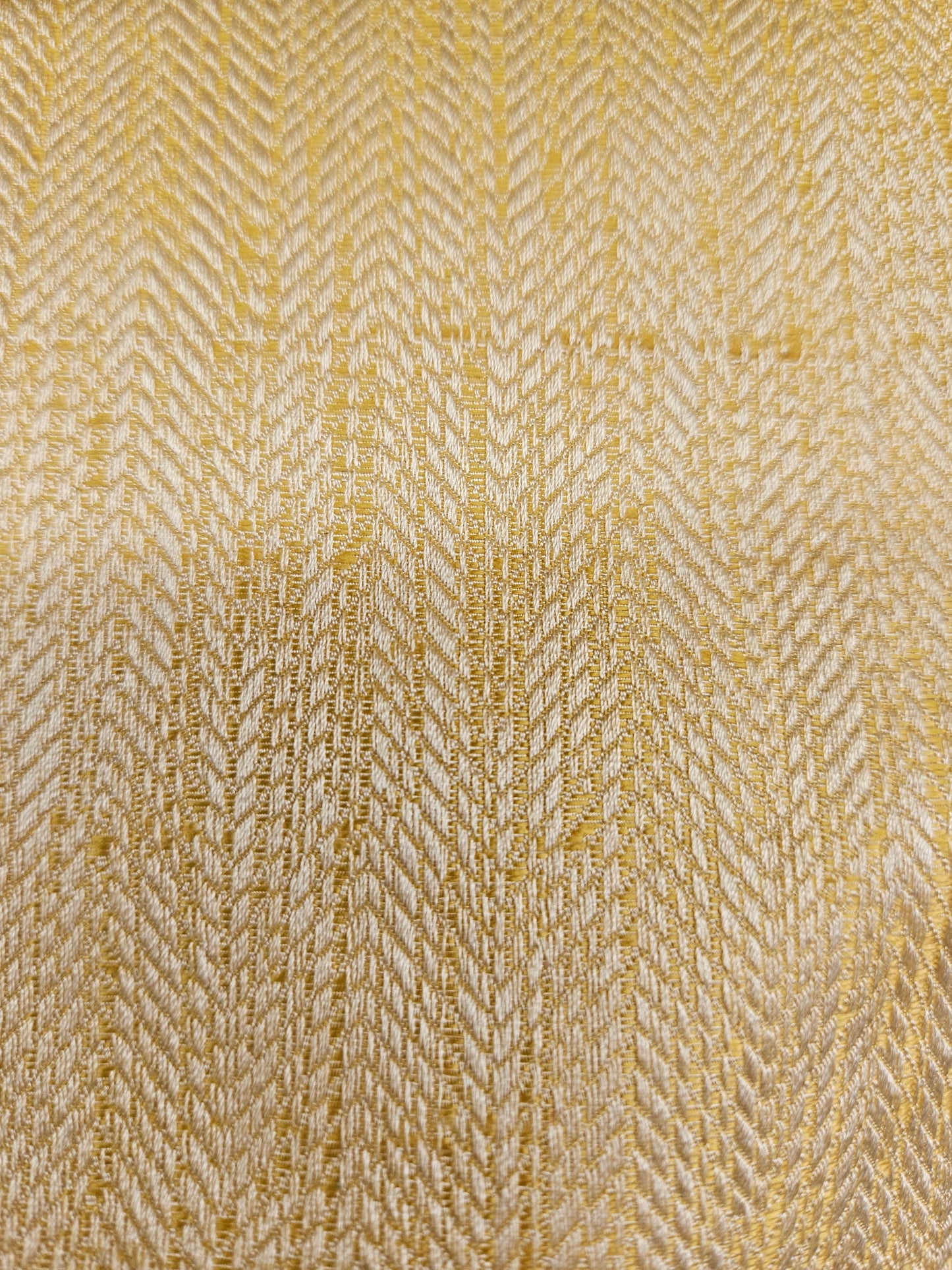 13399 Jasper Goldenrod