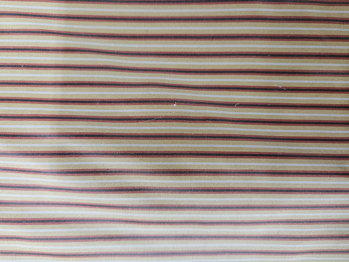 7786 Maribel Stripe