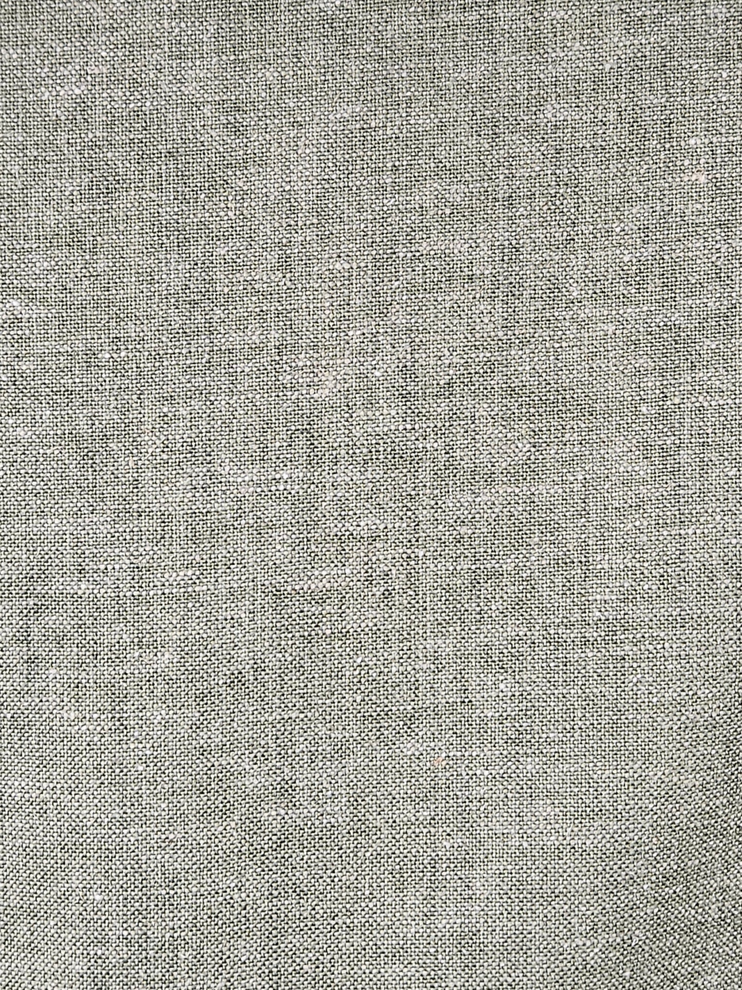 18825 Garwick Lichen