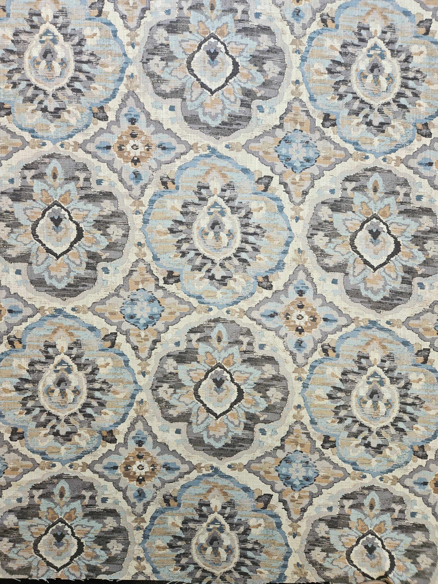 18873 Zari Cloud