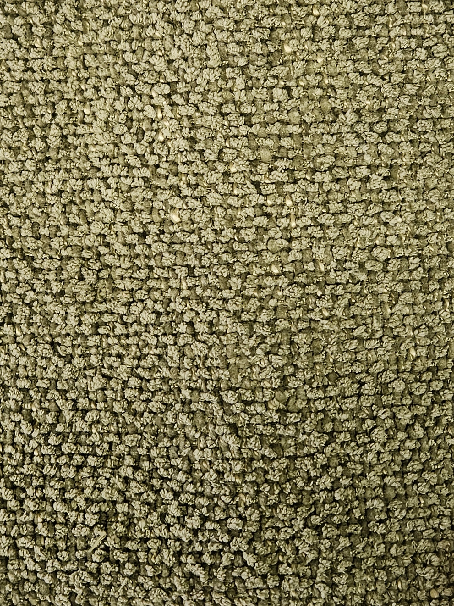 18917 Colorado 501 Lichen