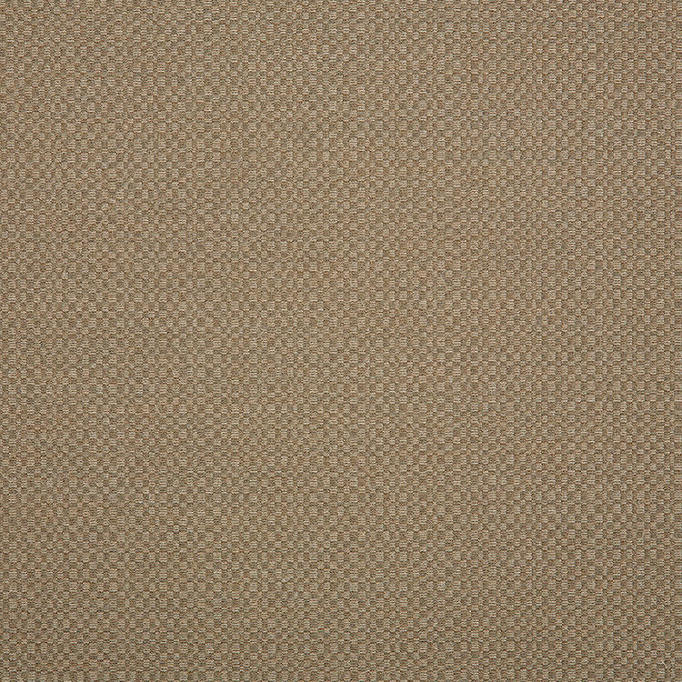 15972 Action Taupe 54"-54"
