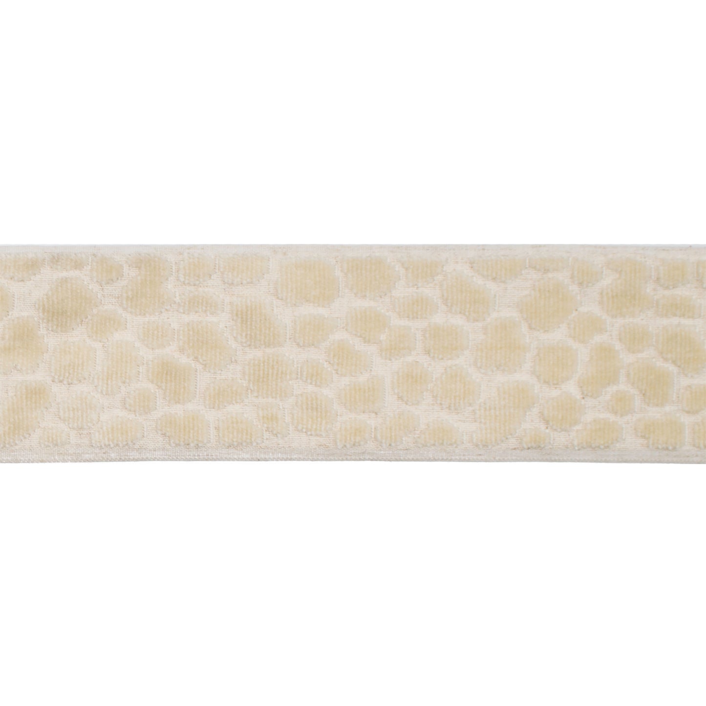 18613 Alpas Pearl