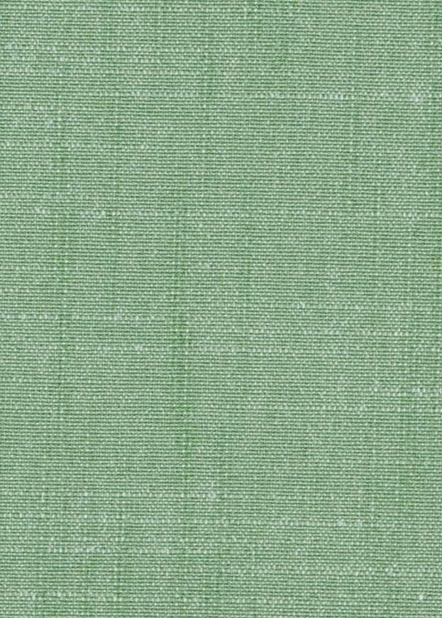 19973 Blarney Ivy