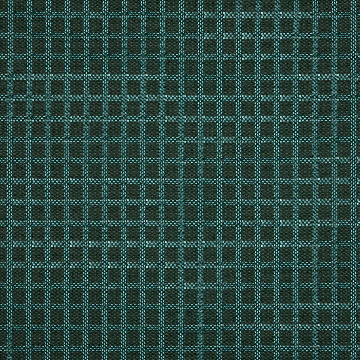 16934 Arena Peacock DISCO