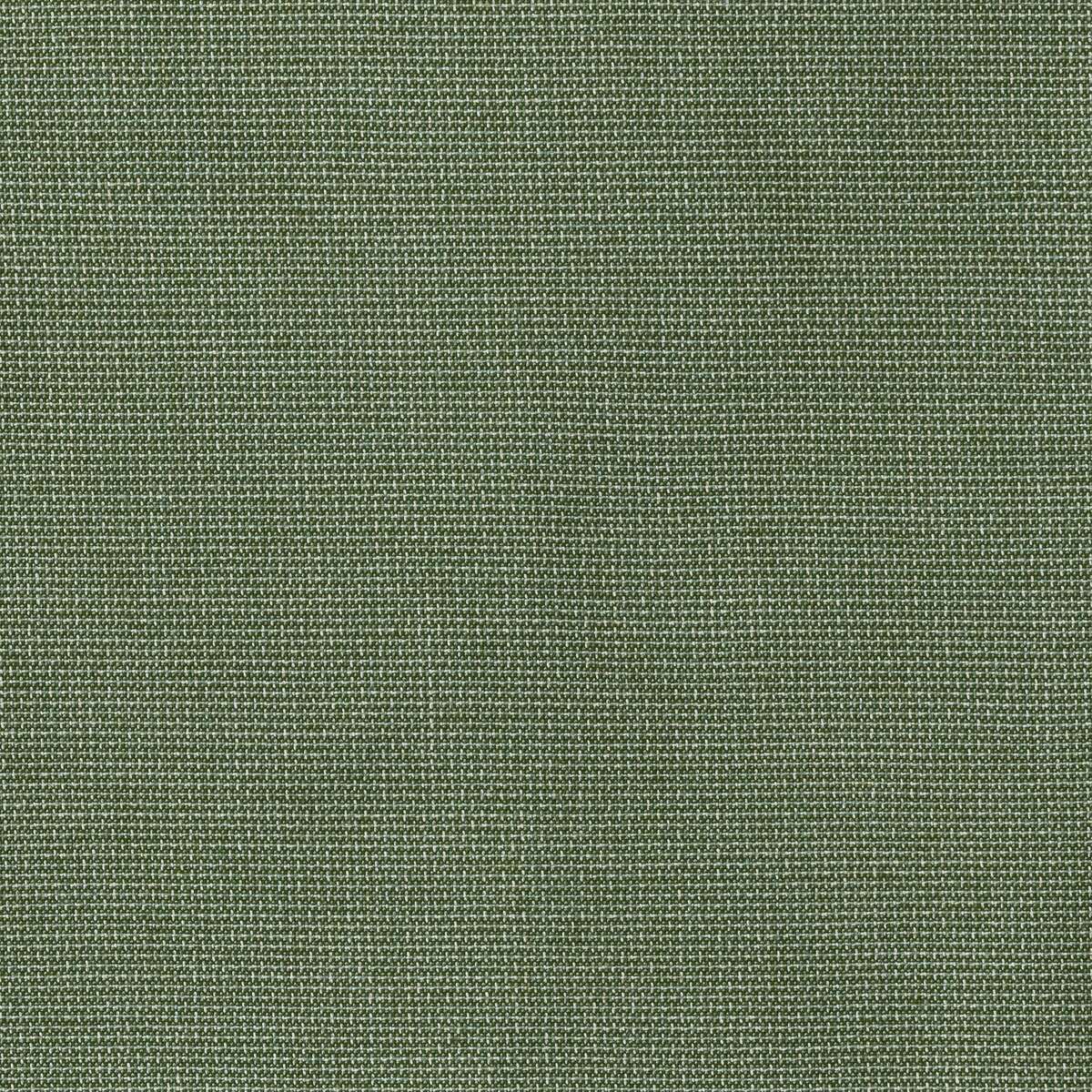 18202 Bliss Aloe DISCO