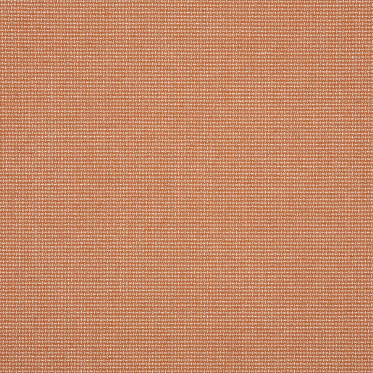 17248 Bliss Clay DISCO