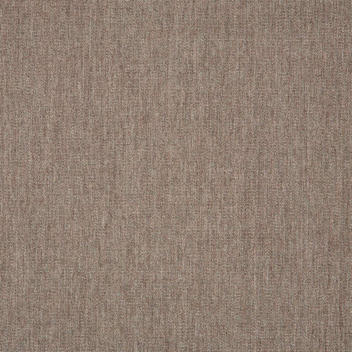 17194 Canvas Mushroom DISCO