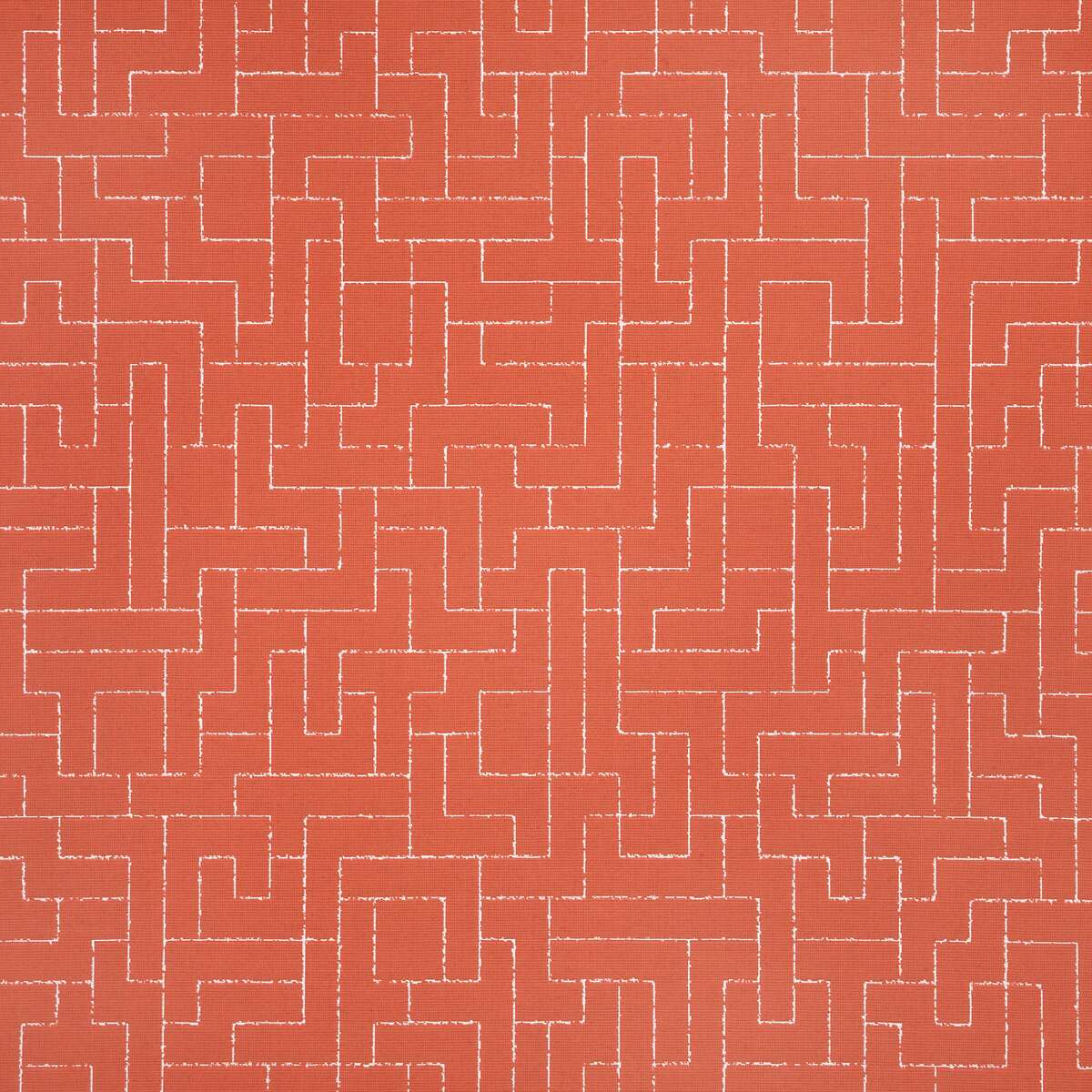 18283 Create Guava DISCO
