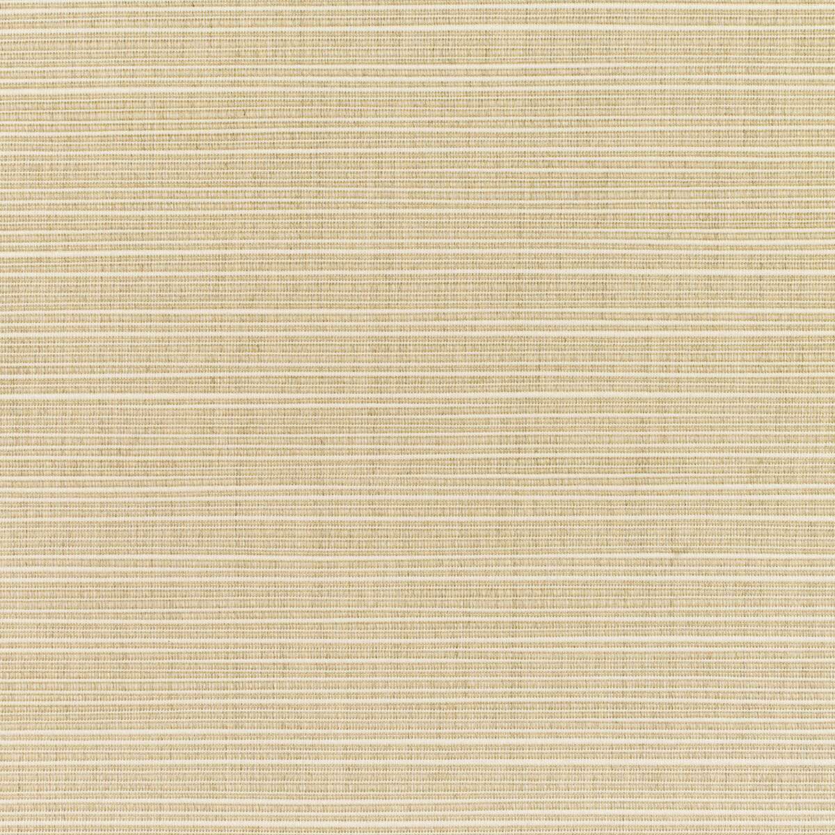 17015 Dupione Sand 8011-0000