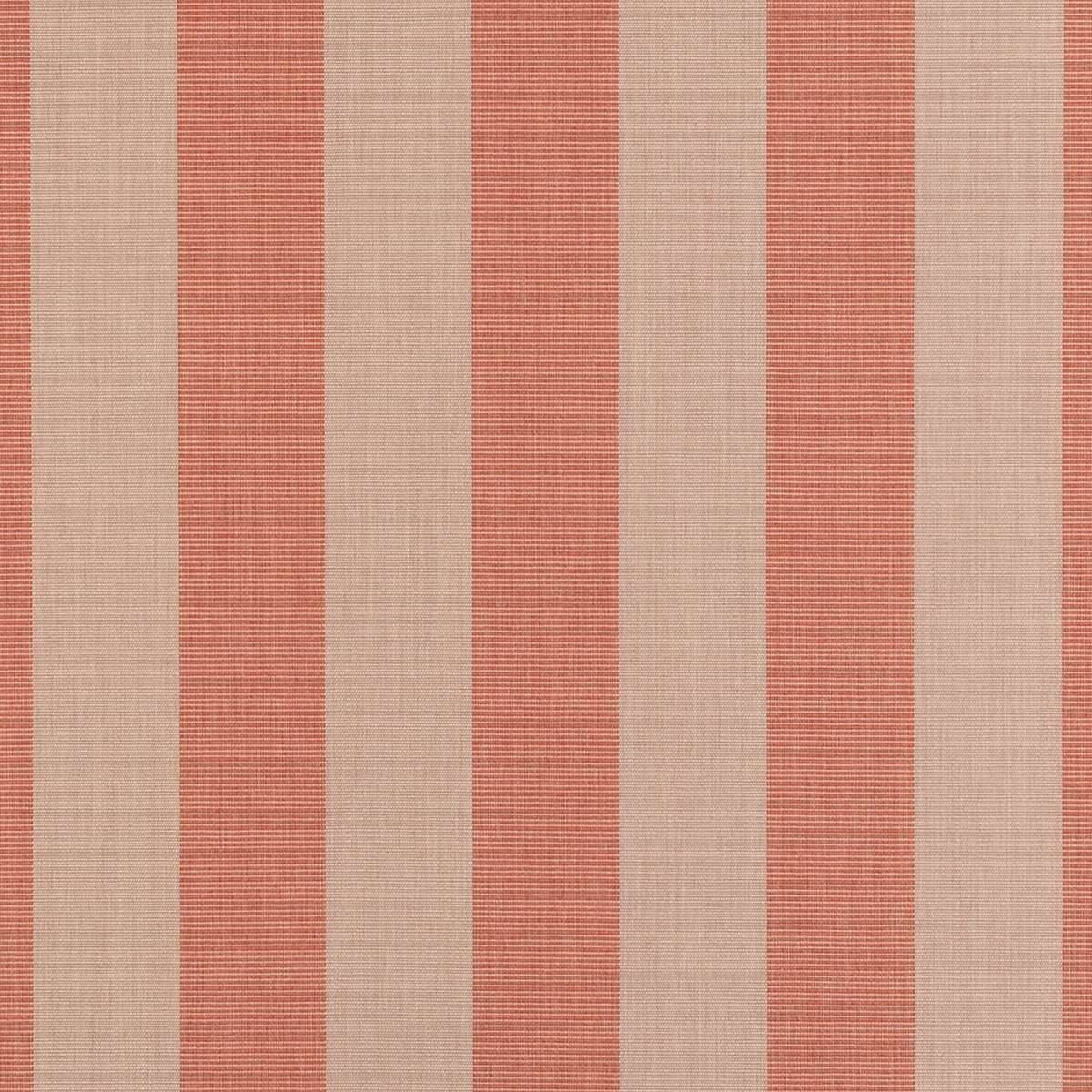 18784 Expressive Blush 14123-0000