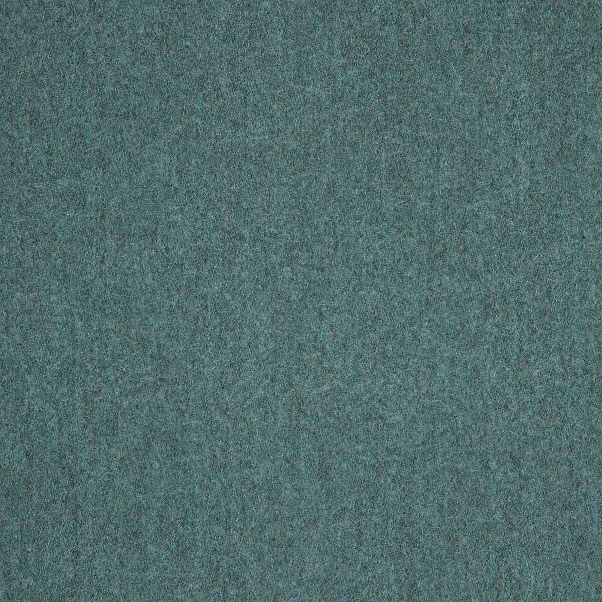 17266 Felt Lagoon DISCO