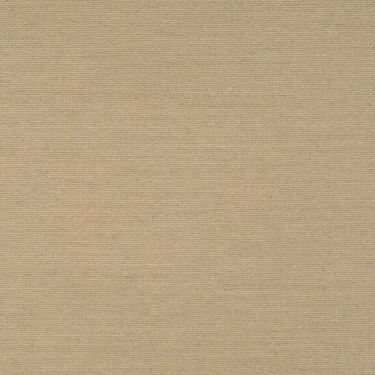 18720 Play Camel 14106-0003