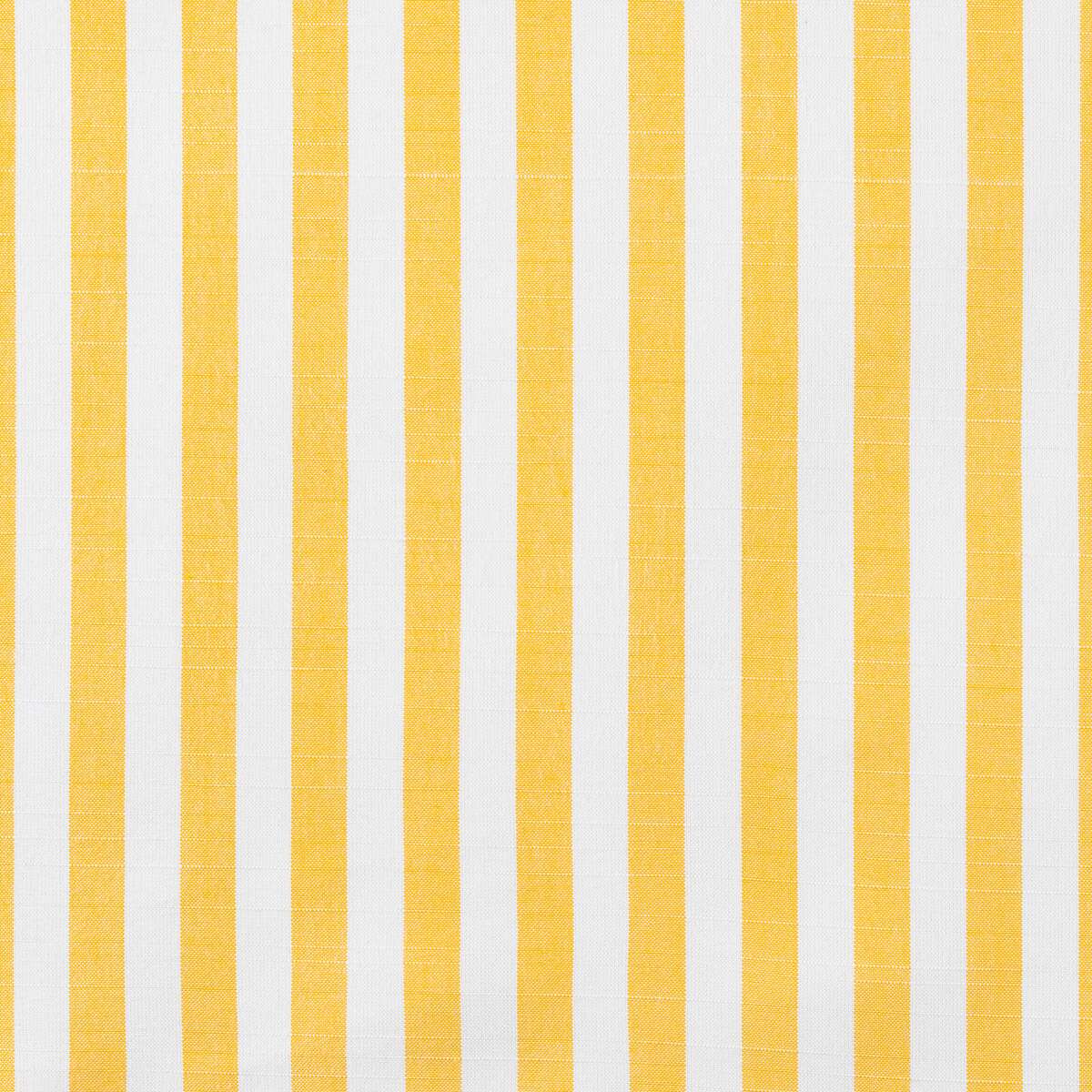 18509 Sail Away Sunflower 40606-0001