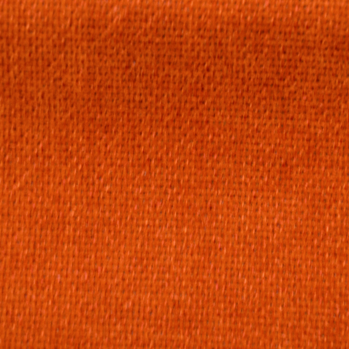 18997 Cuddle Cinnamon DISCO