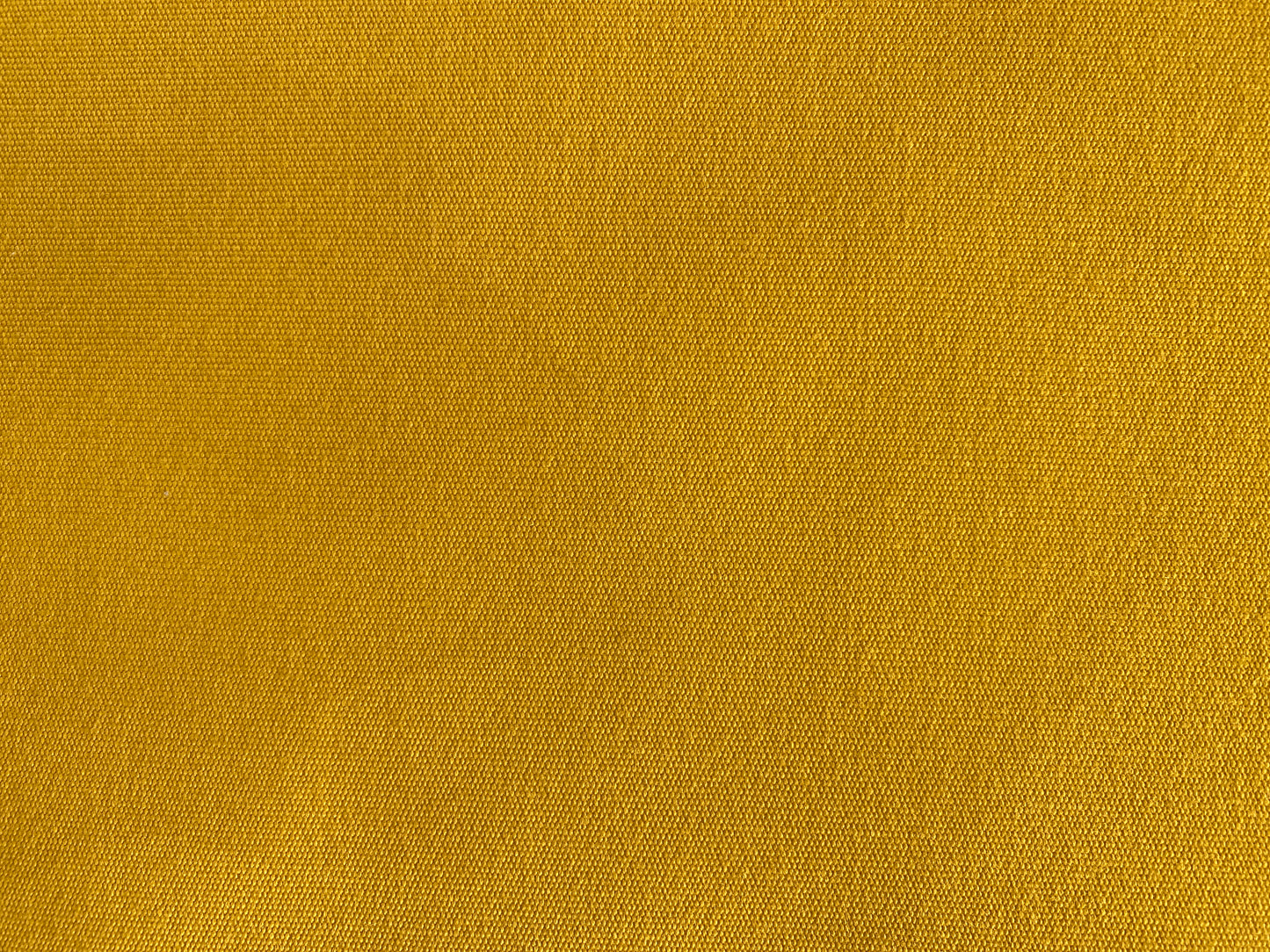 18003 AGORA LISO AMARILLO-OUTDOOR : 63"W