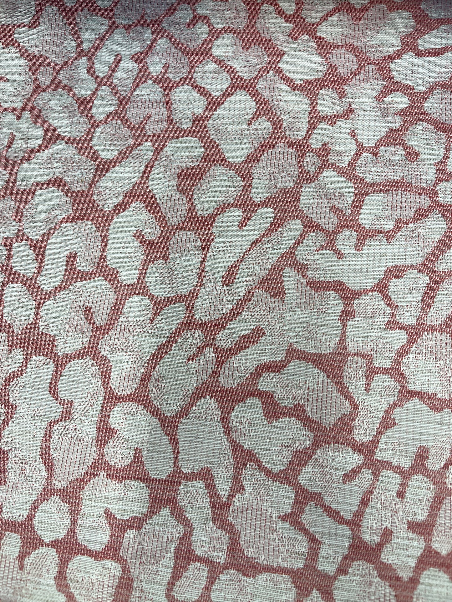 15393 Corlina Coral