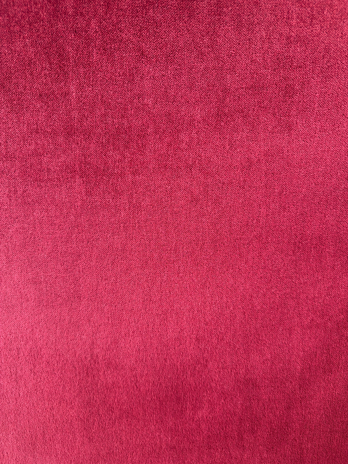 20062 Montana Crimson