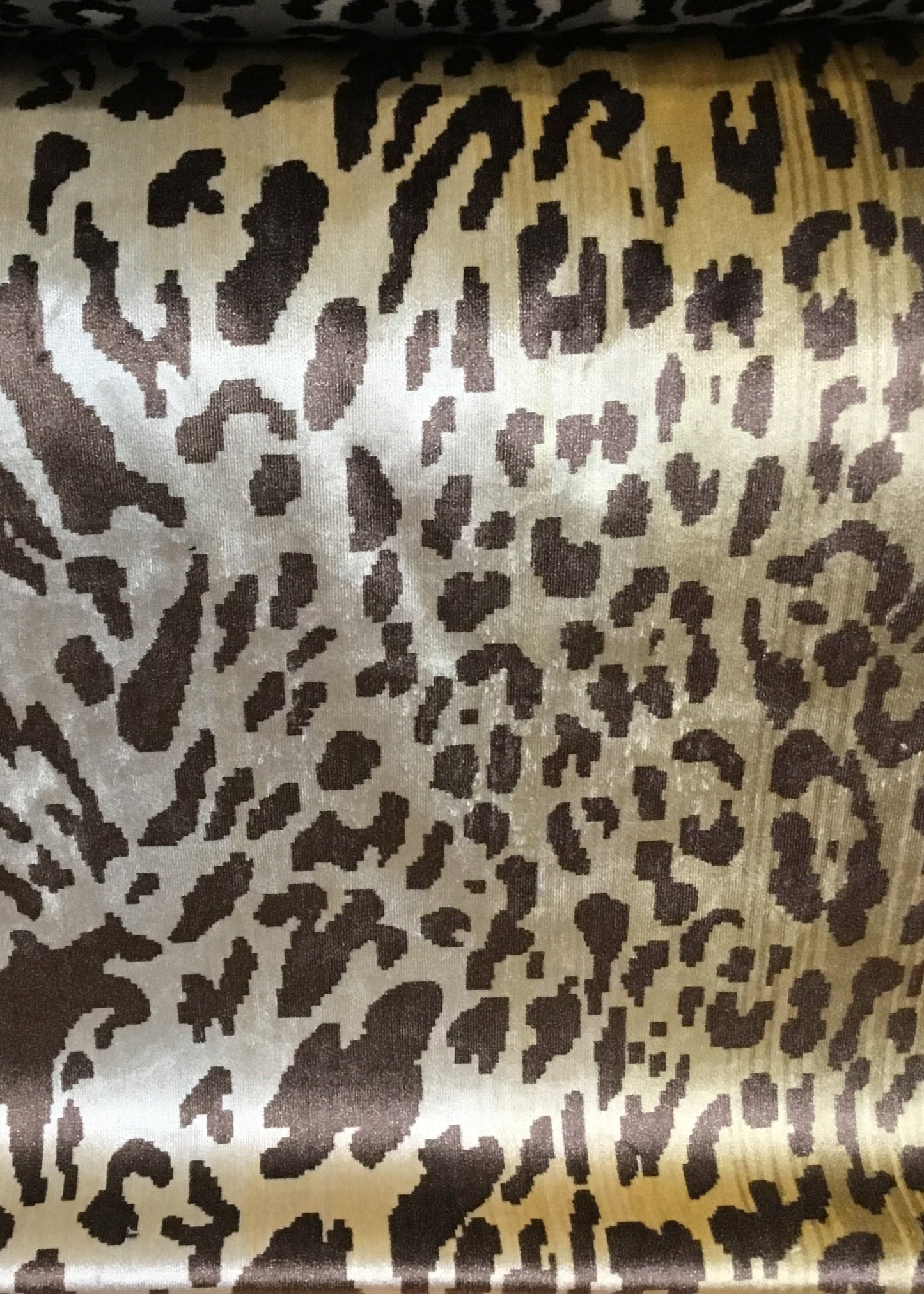 14879 China Leopard