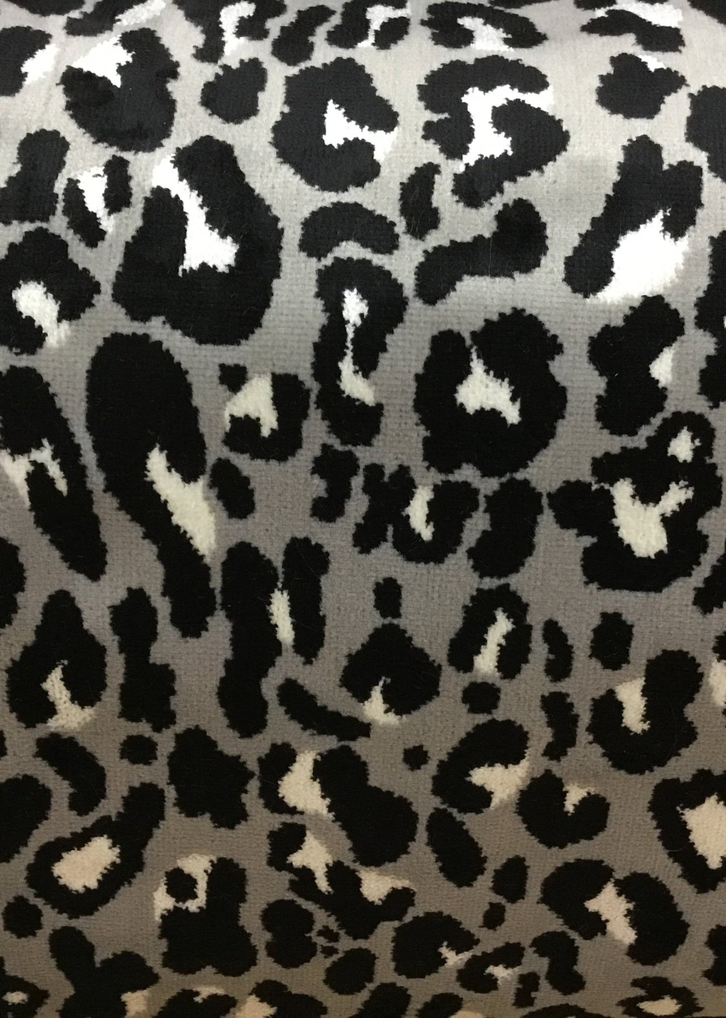 14372 Safari Leopard Blk/Wh