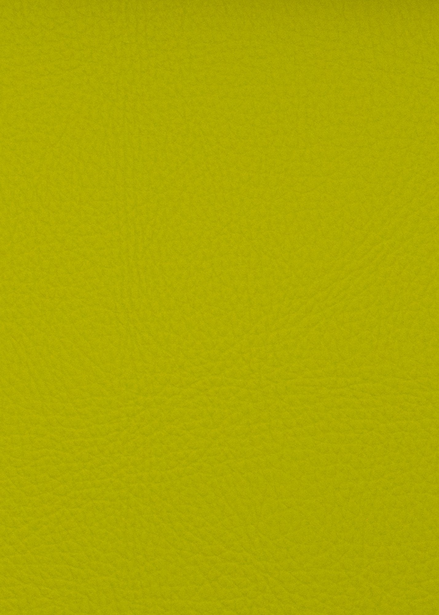 18552 Neptune KeyLime DISCO