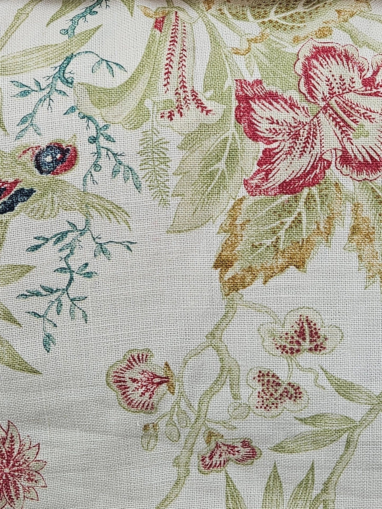 17209 Shangri-La Scarlet-L'Acquitaine : 54"