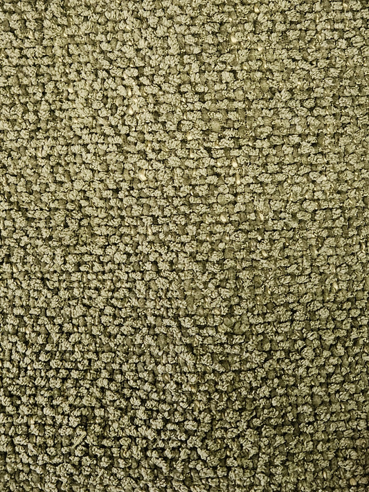 18917 Colorado 501 Lichen