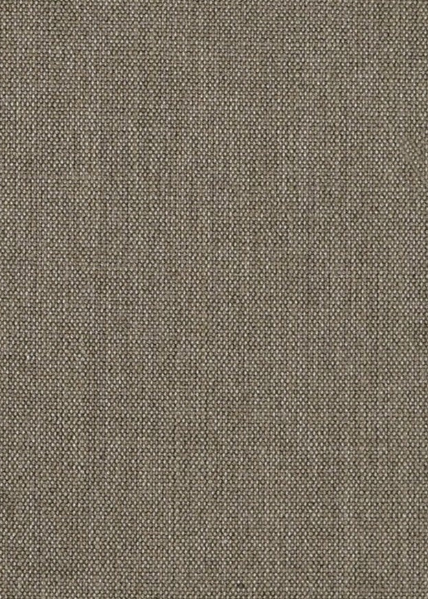 19952 Blarney Coconut