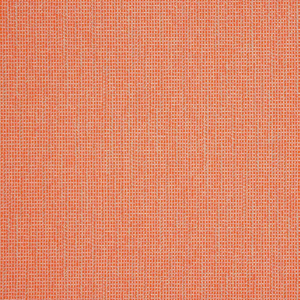 15853 Demo Guava 44282-0024
