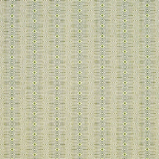 19934 Dory Verdant 146216-0002