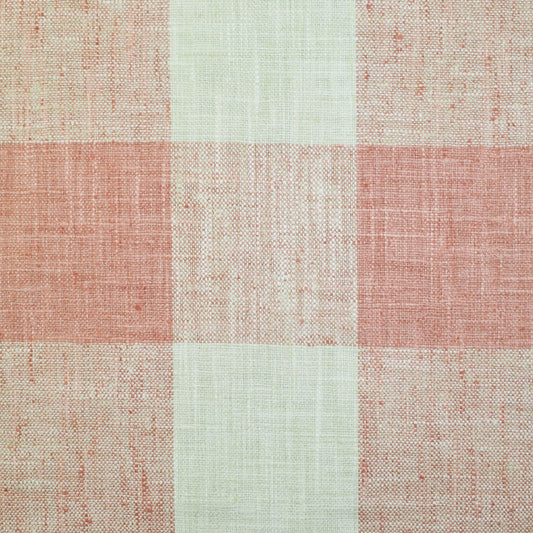 19992 Check Please Plus Soft Coral