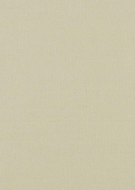 17038 Glynn Linen Antique White #101