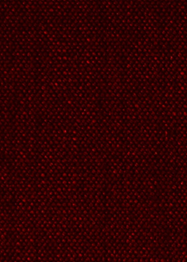 20045 Glynn Linen Cabernet