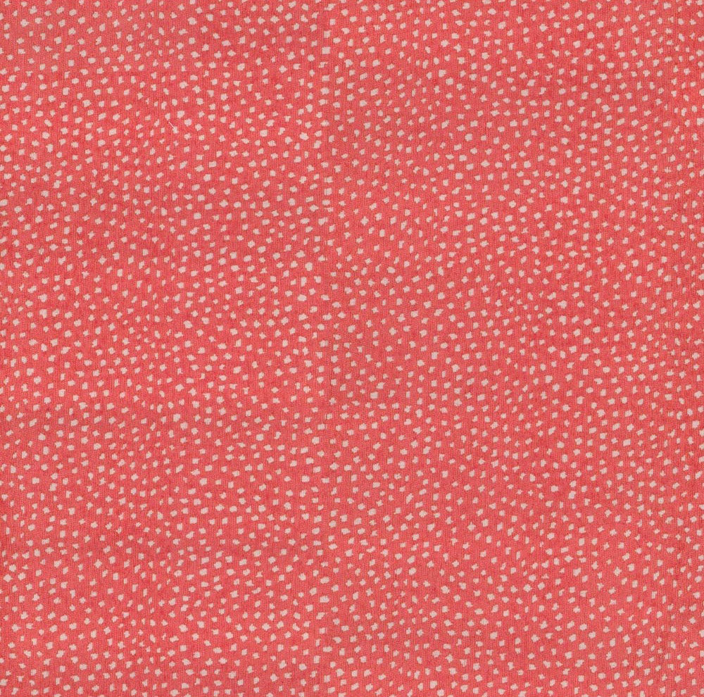 17083 Galaxy Coral-3.5"V 5.5"H : 54"