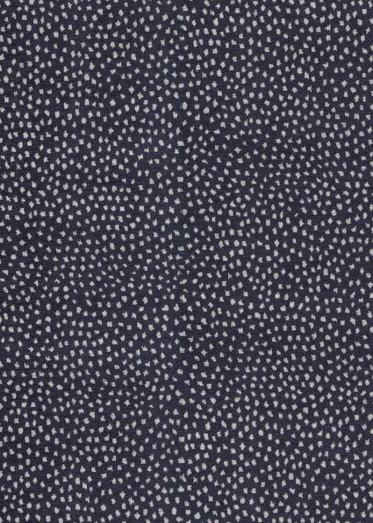 16999 Galaxy Navy