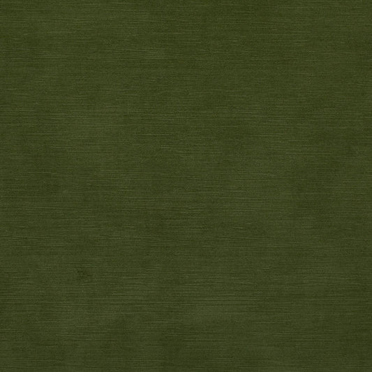 20069 Hawthorne Olive