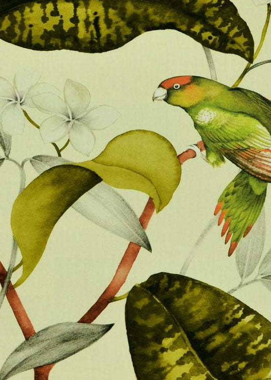 17507 Hello Polly Green DISCO