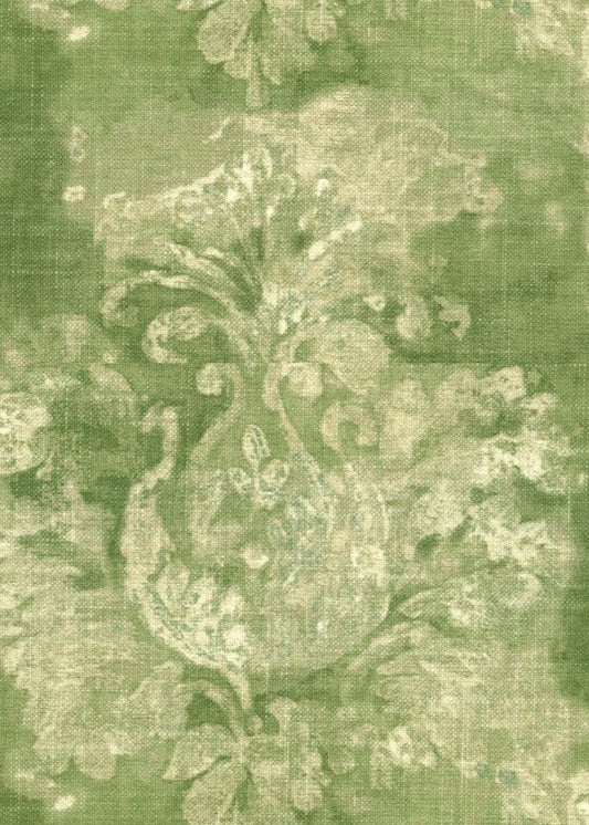 19955 Parvati Greenery