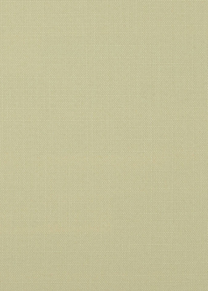 20009 York Cream