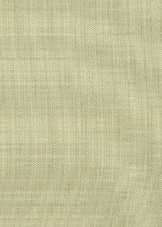 20009 York Cream