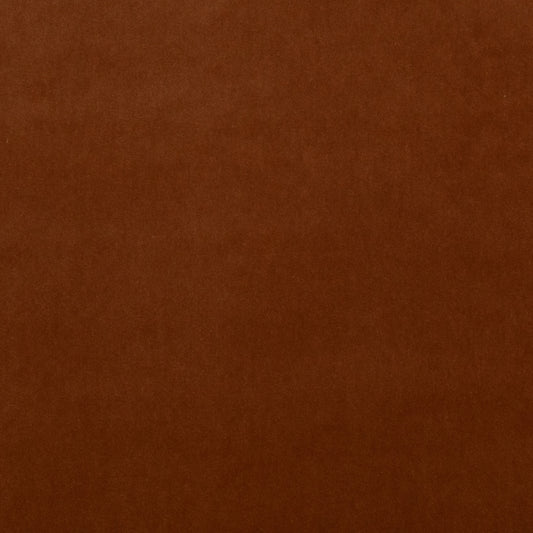 20000 Banks Ochre