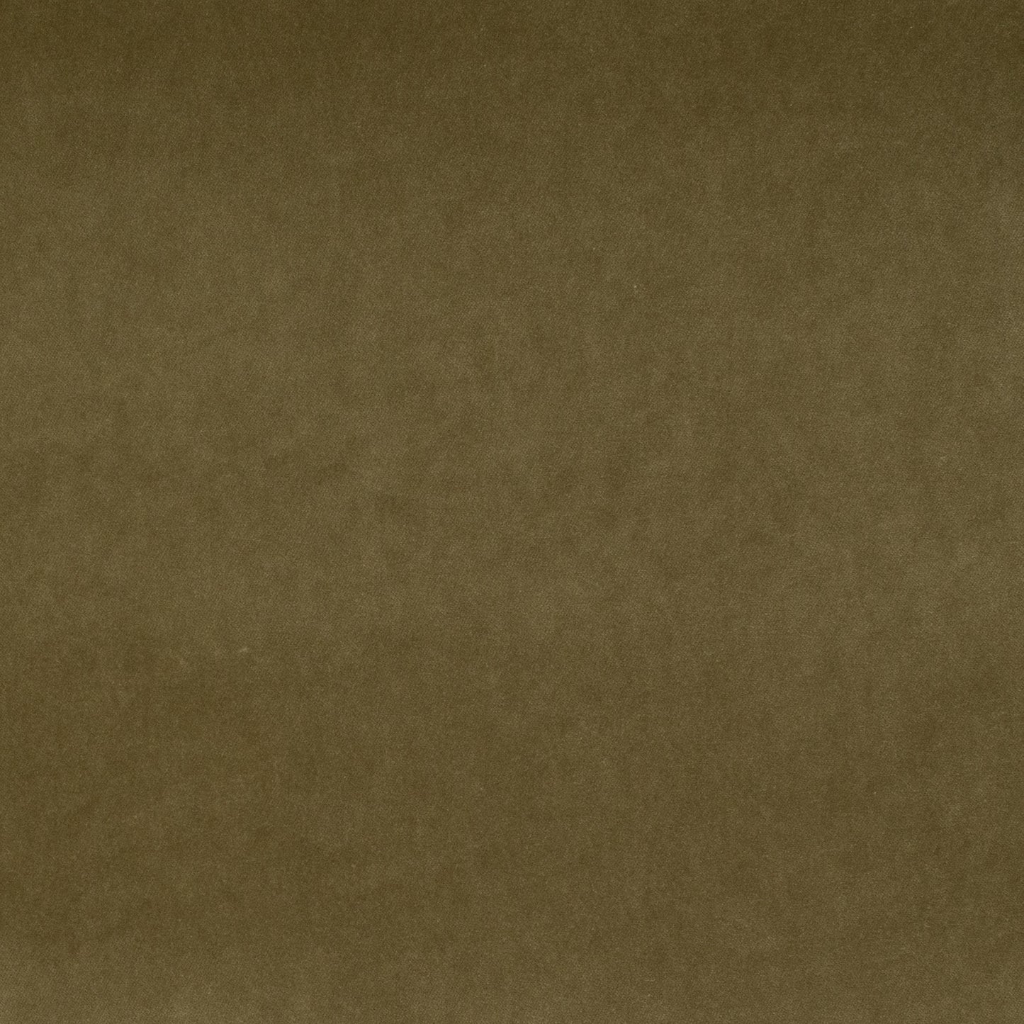 19946 Banks Olive