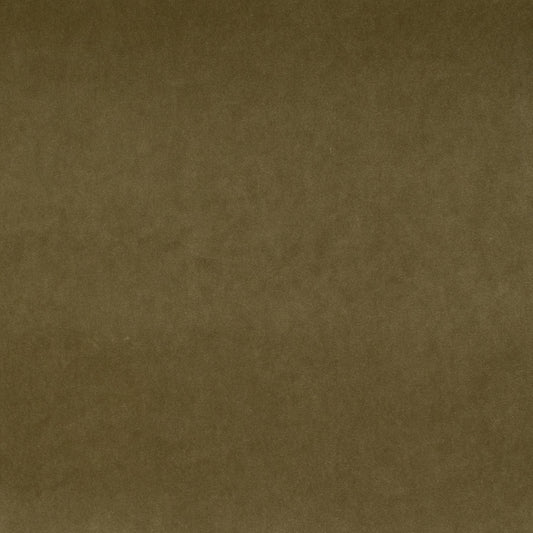 19946 Banks Olive