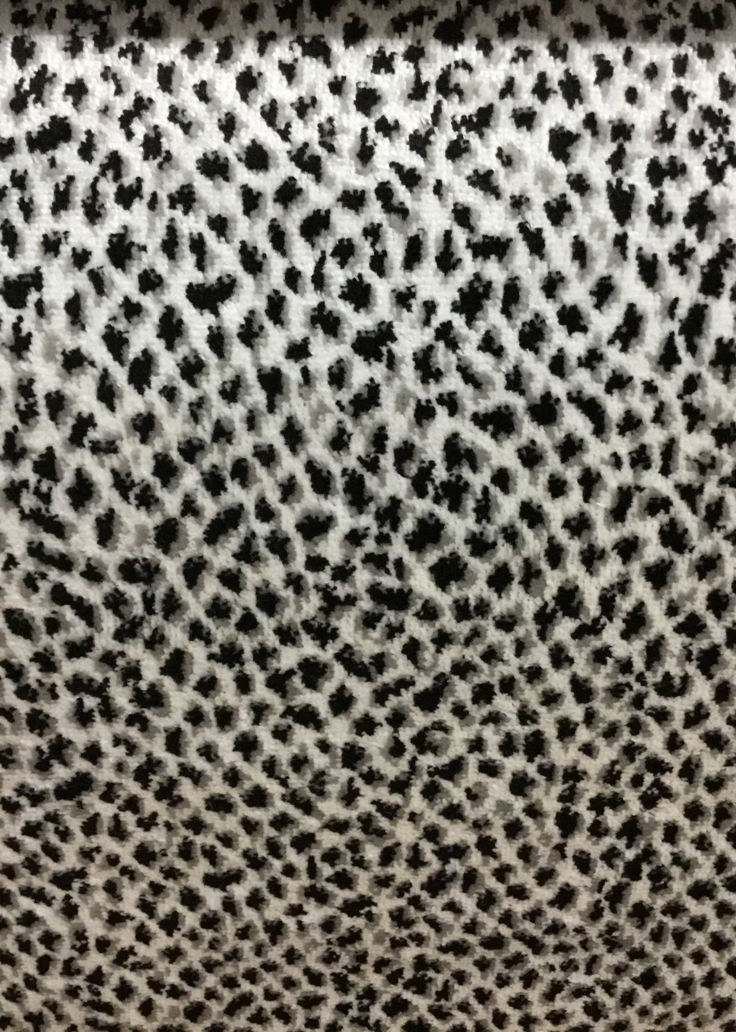14373 Safari Lynx Blk/Wht